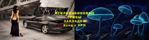 скорость mdpv Белокуриха
