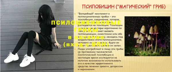 скорость mdpv Белокуриха